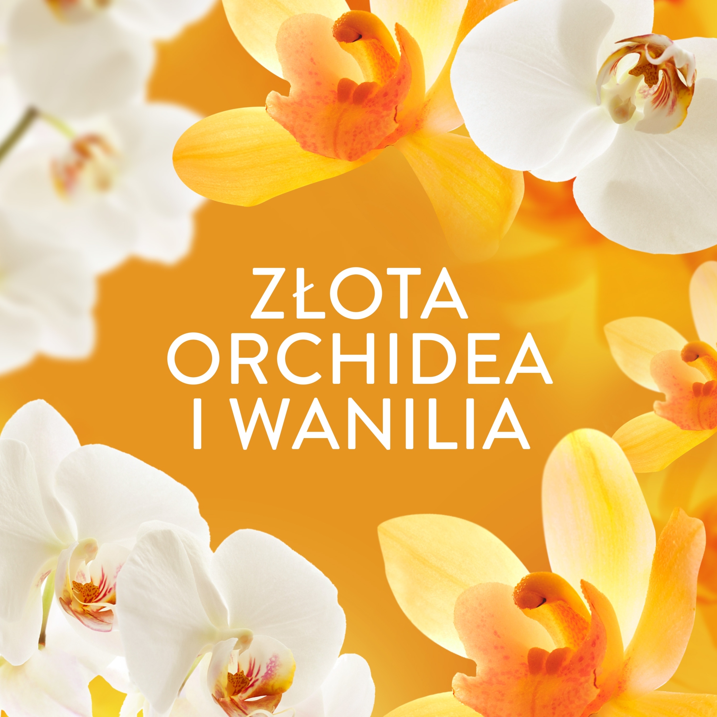 LENOR Perełki zapachowe do prania Gold orchid 495g - obrazek 3